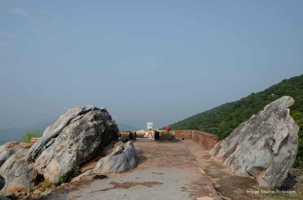 Image 4