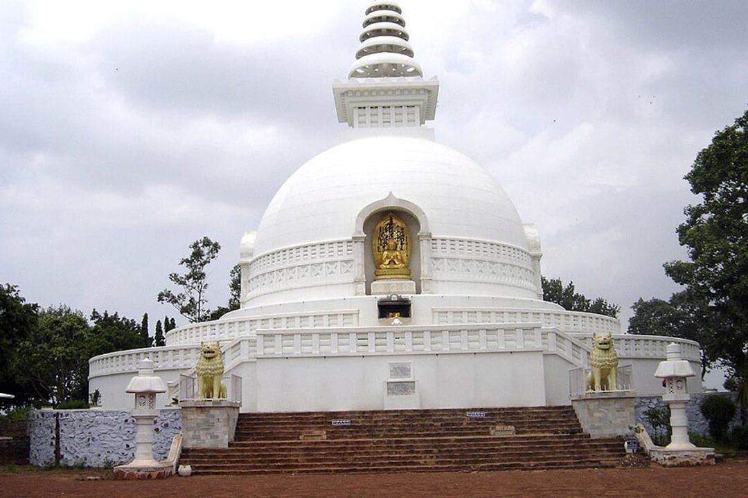 Image 4